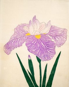 多摩うさぎ、98年、1890年（色木版）